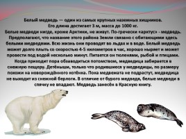 Мир вокруг нас «Где живут белые медведи?», слайд 15