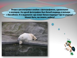 Мир вокруг нас «Где живут белые медведи?», слайд 5
