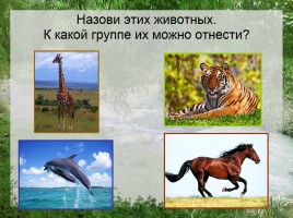 Какие бывают животные, слайд 8