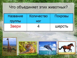 Какие бывают животные, слайд 9