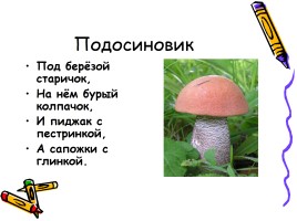 В царстве грибов, слайд 9
