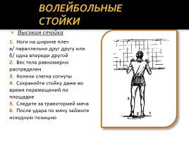 Волейбол (обучение технике волейбола), слайд 3