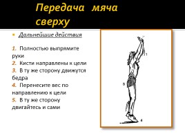Волейбол (обучение технике волейбола), слайд 8
