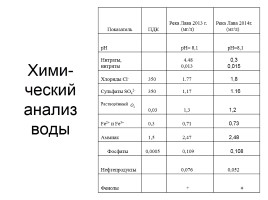 Экологические проблемы реки Лава, слайд 11