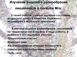 Исследовательская работа «Определение загрязнения воздуха в посёлке Мга методом лихеноиндикации», слайд 7