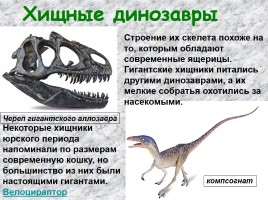 Жили-были динозавры, слайд 4