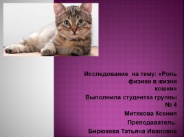 Исследование на тему: «Роль физики в жизни кошки», слайд 1