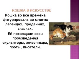 Исследование на тему: «Роль физики в жизни кошки», слайд 33