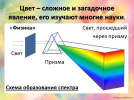 Цвет - Основы цветоведения, слайд 2
