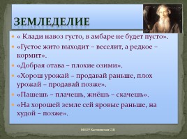Проект ученицы 5 класса «Антонимы в русских пословицах», слайд 14