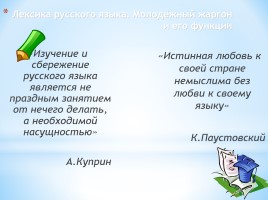 Исследовательская работа по русскому языку «Лексика русского языка - Молодёжный жаргон и его функция», слайд 3