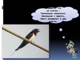 Птицы - наши друзья, слайд 16