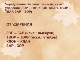 Урок русского языка в 6 классе «Корни с чередованием», слайд 8