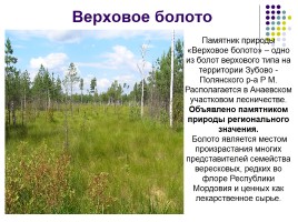 Памятники природы Мордовии, слайд 16