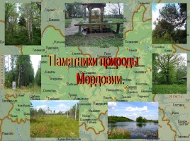 Памятники природы Мордовии, слайд 2
