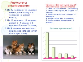 Проект «Удивительные животные - Кошки», слайд 13