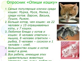 Проект «Удивительные животные - Кошки», слайд 14
