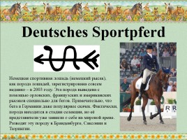 Немецкие породы лошадей, слайд 17