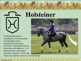 Немецкие породы лошадей, слайд 8