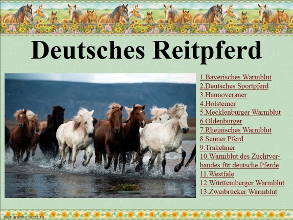 Немецкие породы лошадей