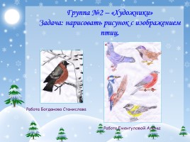 Исследовательский проект «Исследование жизни птиц в зимнее время», слайд 11