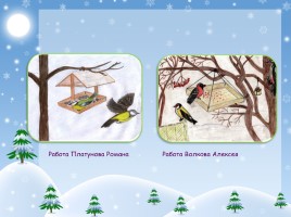 Исследовательский проект «Исследование жизни птиц в зимнее время», слайд 12