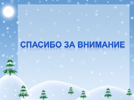 Исследовательский проект «Исследование жизни птиц в зимнее время», слайд 24