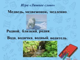 Урок русского языка «Корень как часть слова», слайд 14