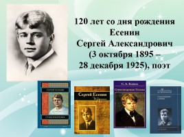 Год литературы в России 2015, слайд 12