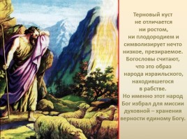 Моисей - Воспитание народа - Сорок лет в пустыне, слайд 10