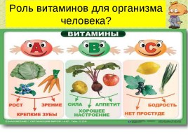 Овощи и фрукты - полезные продукты, слайд 8