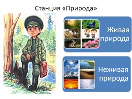 Викторина «По следам Мудрой Черепахи», слайд 9