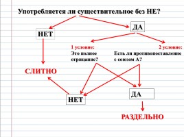 Урок русского языка 6 класс «НЕ с существительными», слайд 6