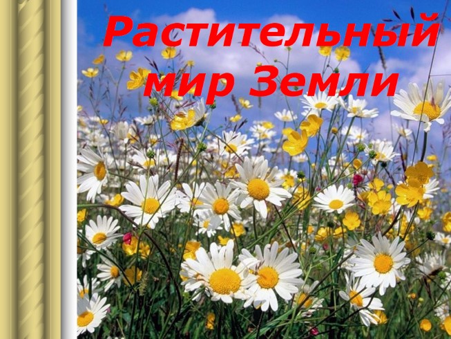 Растительный мир Земли