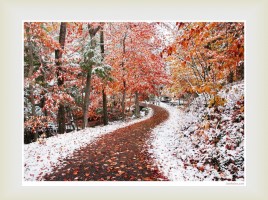Природа осенью - Ноябрь, слайд 7