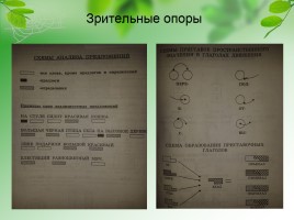 Коррекция письменной речи у младших школьников в условиях реализации ФГОС, слайд 13