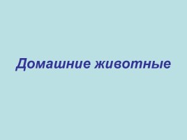 Домашние животные (иллюстрации), слайд 1