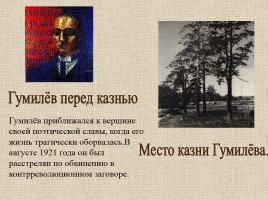 Гумилев Николай Степанович 1886-1921 гг., слайд 9