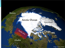 Всероссийский урок «Арктика - фасад России», слайд 2