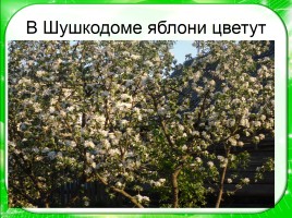 Моё родное село Шушкодом, слайд 12