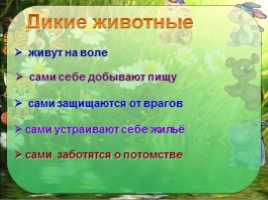 Окружающий мир 1 класс «Как живут животные?», слайд 14