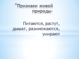 География 5 класс «Мир в котором мы живем», слайд 4