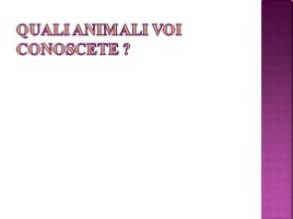 Gli animali, слайд 3