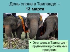 Слоны, слайд 51