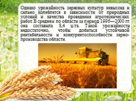 Сельское хозяйство - Растениеводство Оренбургской области, слайд 10