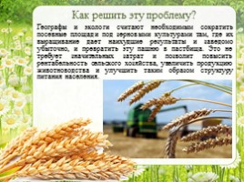 Сельское хозяйство - Растениеводство Оренбургской области, слайд 11
