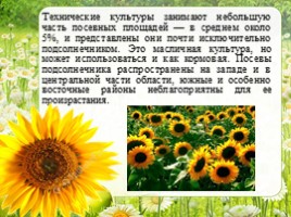 Сельское хозяйство - Растениеводство Оренбургской области, слайд 13