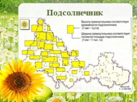 Сельское хозяйство - Растениеводство Оренбургской области, слайд 14