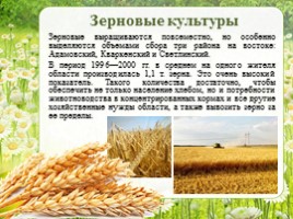 Сельское хозяйство - Растениеводство Оренбургской области, слайд 9