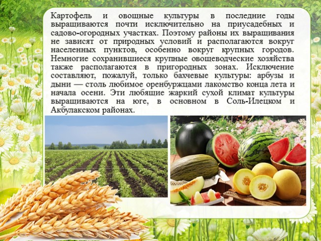 Презентация сельское хозяйство курганской области